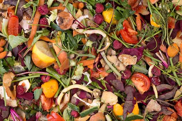 Start Composting