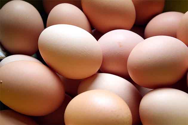 Eggs