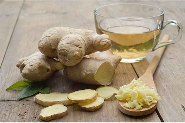 Ginger