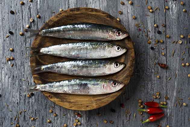 Sardines