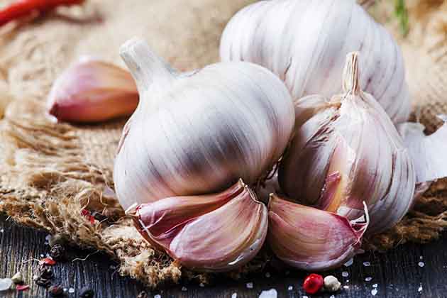 Garlic