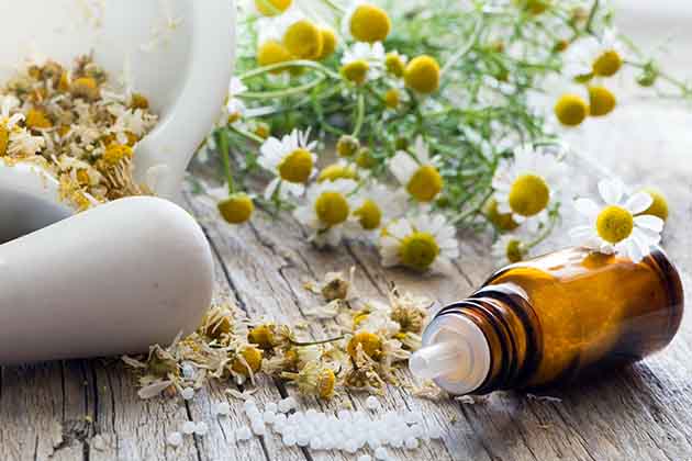 Chamomile