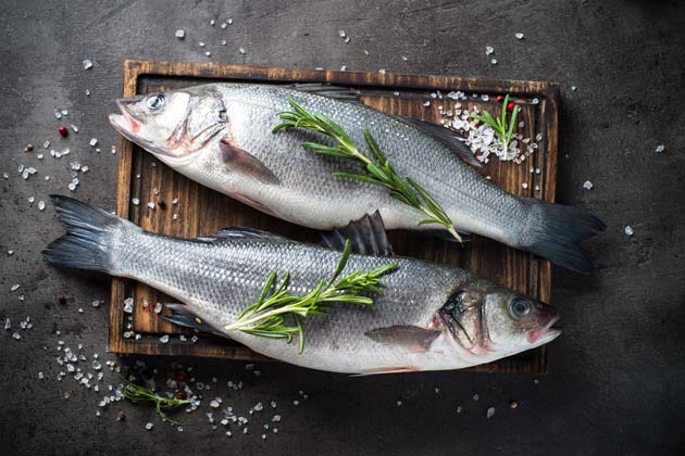 Fish
