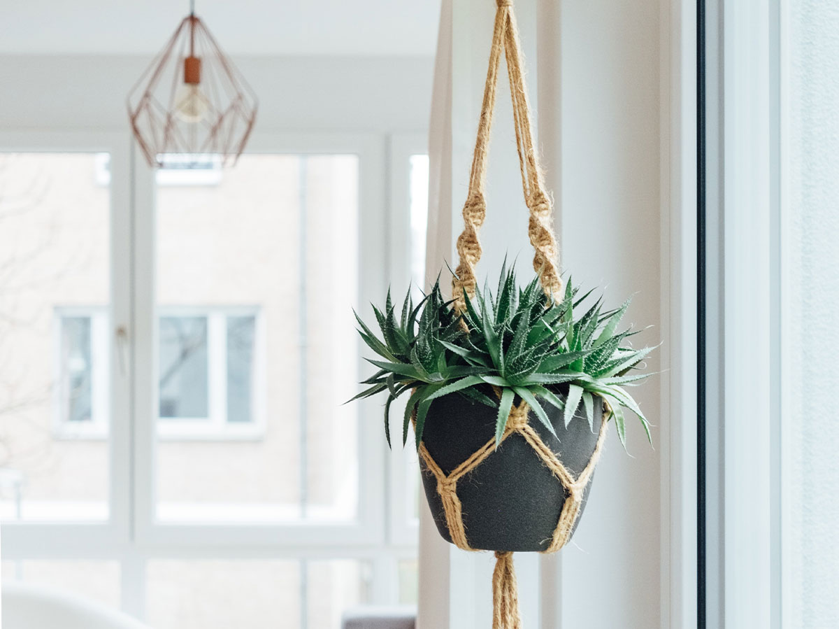 Create Cheap Planters