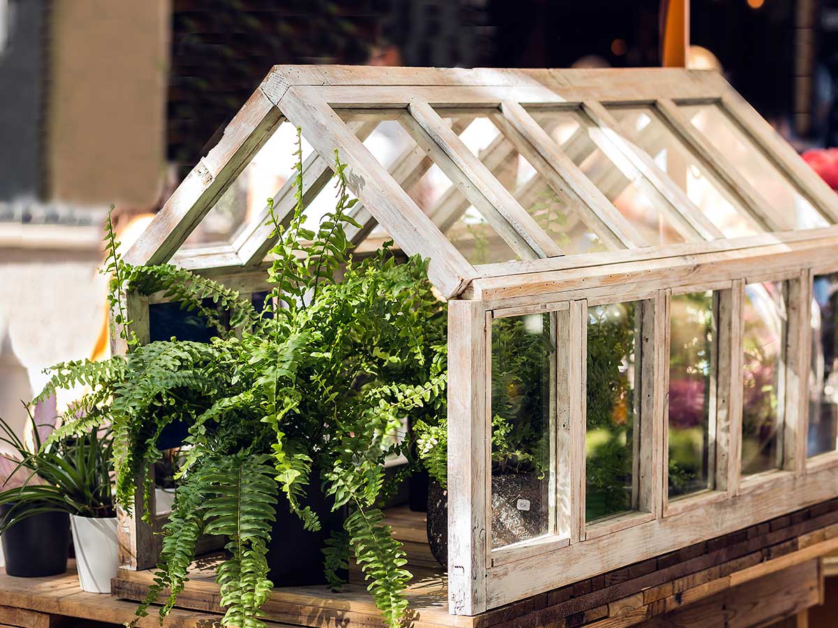 Glue Together Picture Frames for a Terrarium