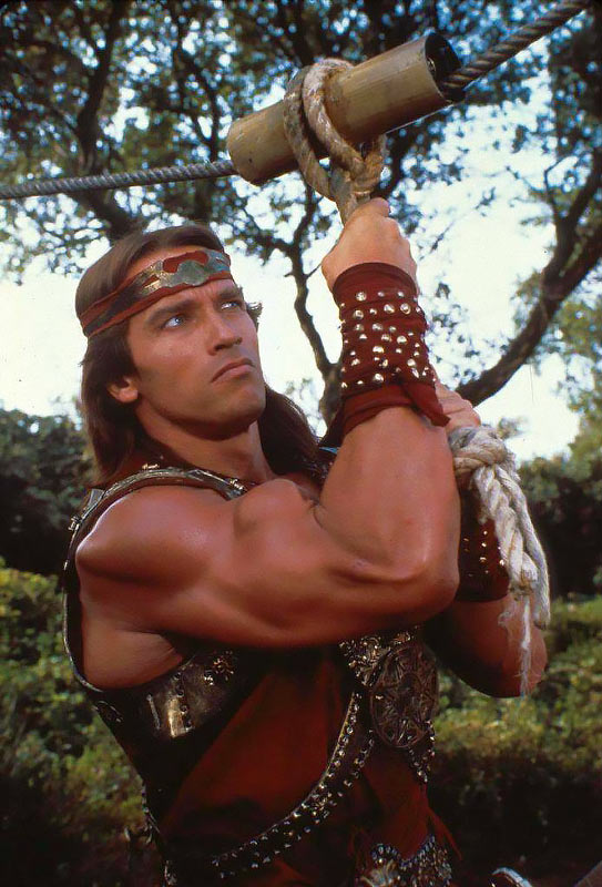 Arnold Schwarzenegger in Red Sonja