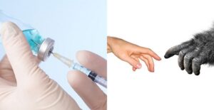 vaccines and monkey touching a mans hand