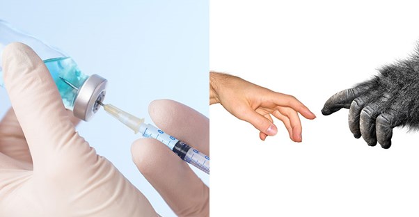 vaccines and monkey touching a mans hand