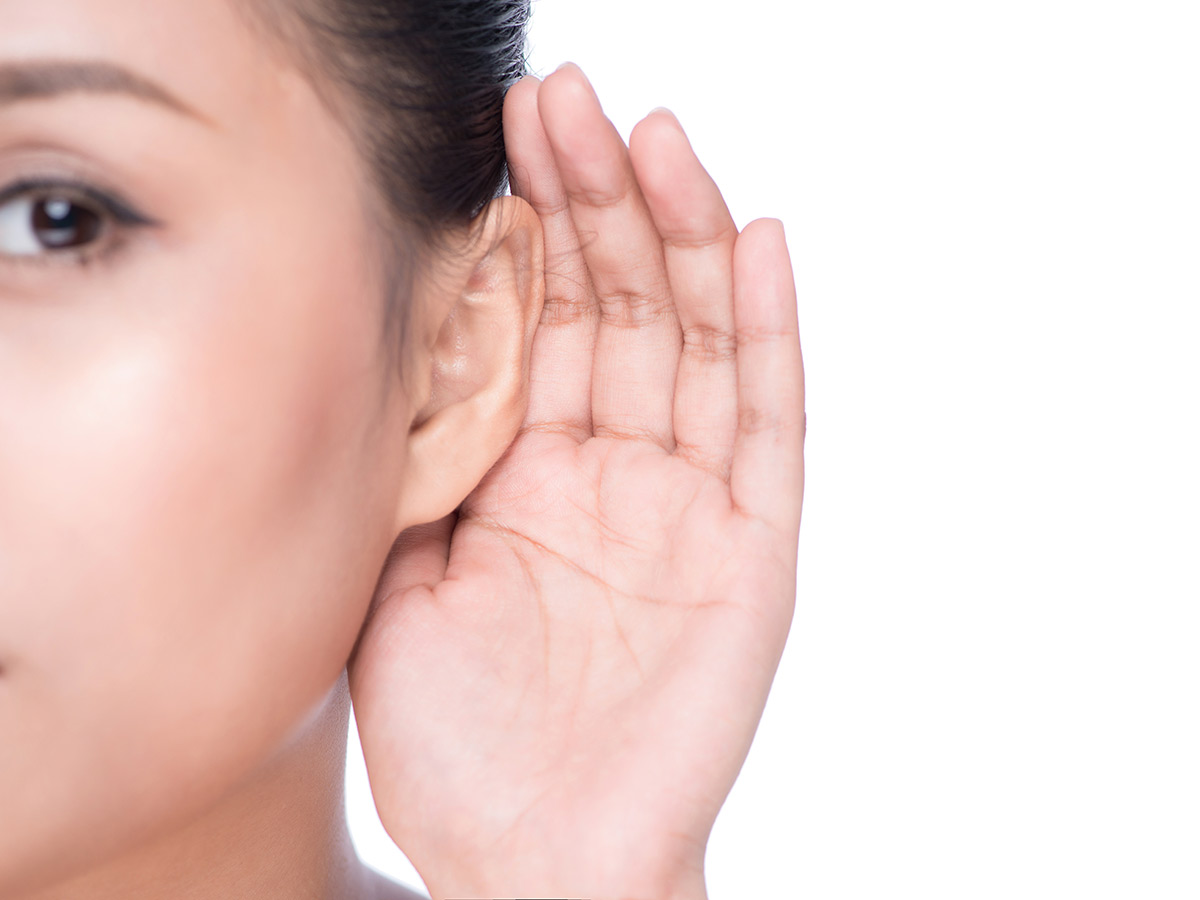 Humans Have Five Senses