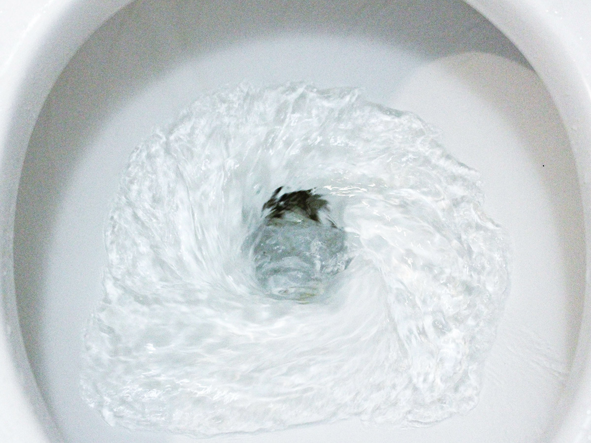 Toilets Spin a Different Direction in the Southern Hemisphere