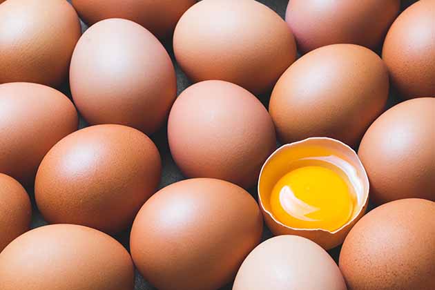 Not That: Eggs