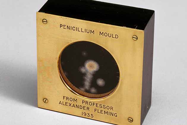 Penicillin