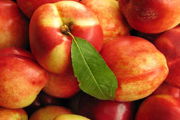 Dirty: Nectarines