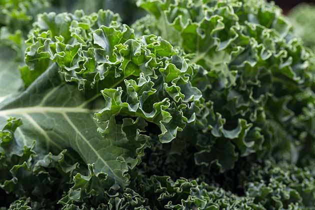 Dirty: Kale