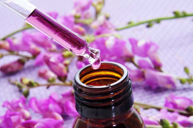 Bach Flower Therapy