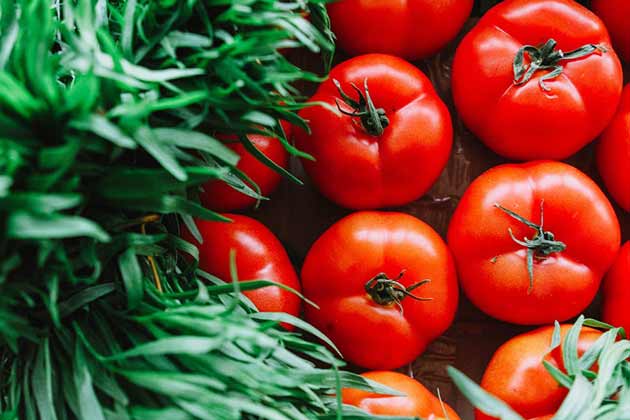 Tomato