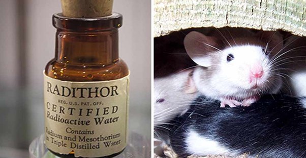 radium water and mice