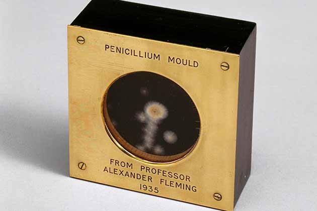 Penicillin