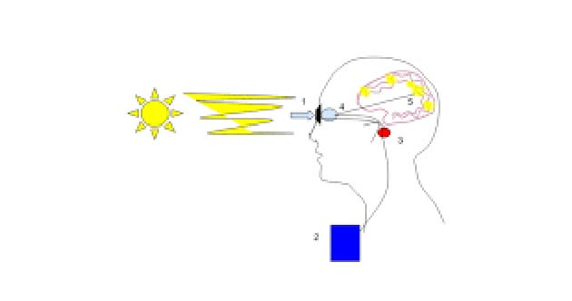 Ocumetics Bionic Lens
