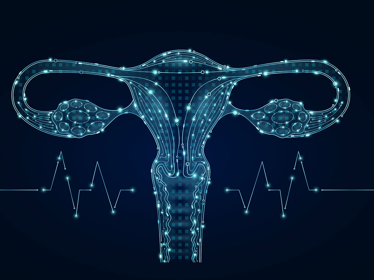 Artificial Wombs