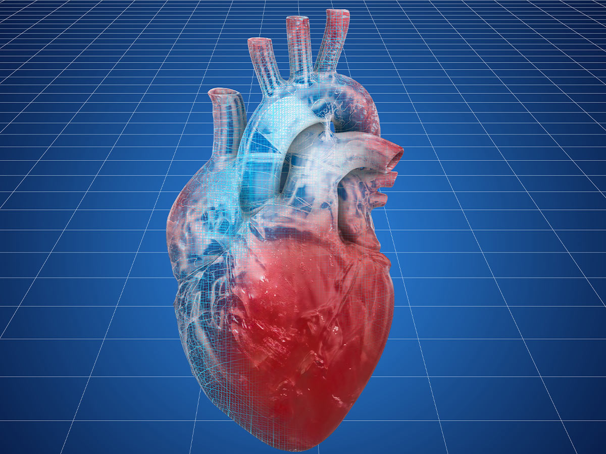 3D Printed Body Parts