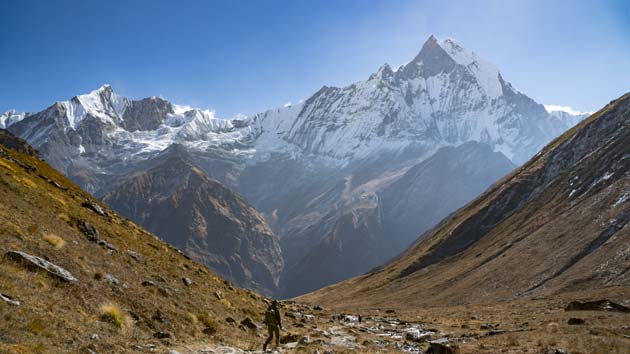 More Than 200 New Species Found in the Himalayas