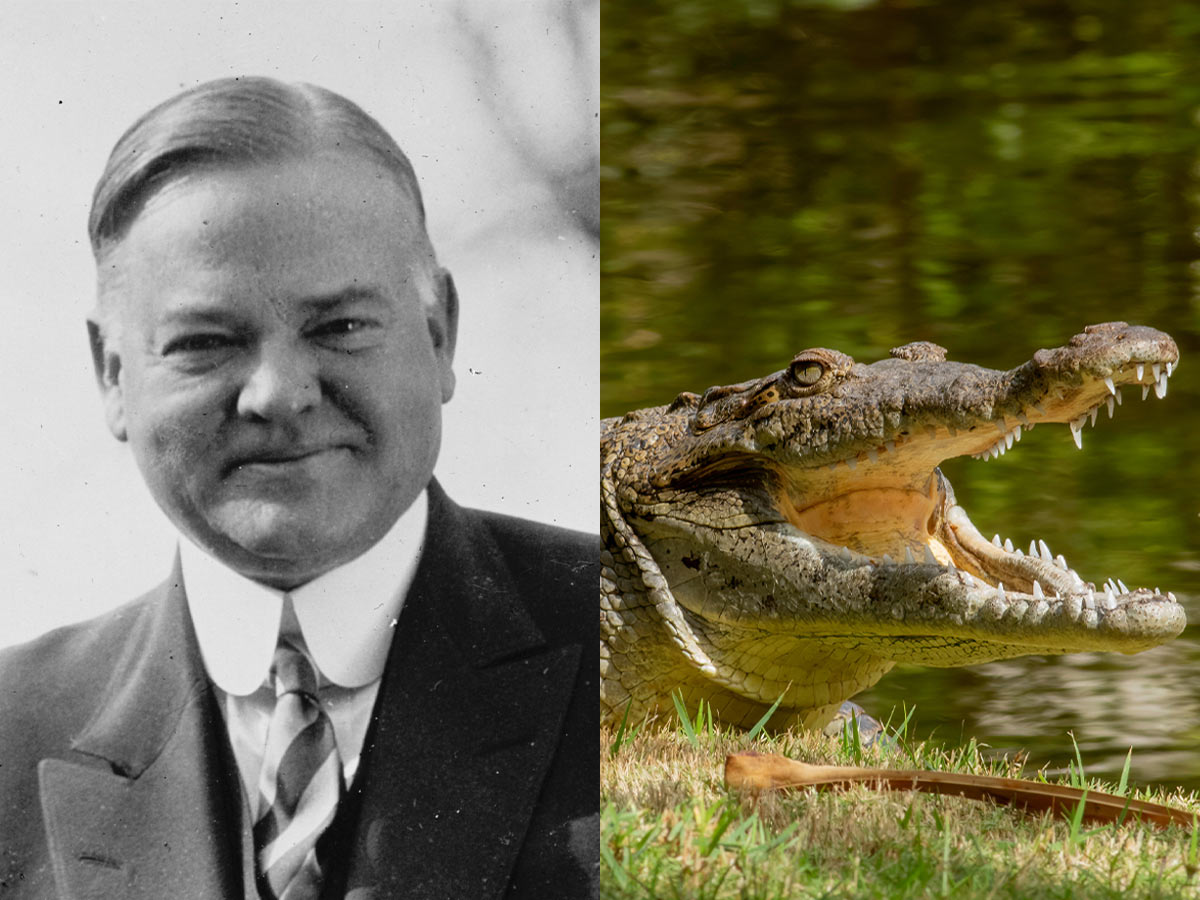 Herbert Hoover