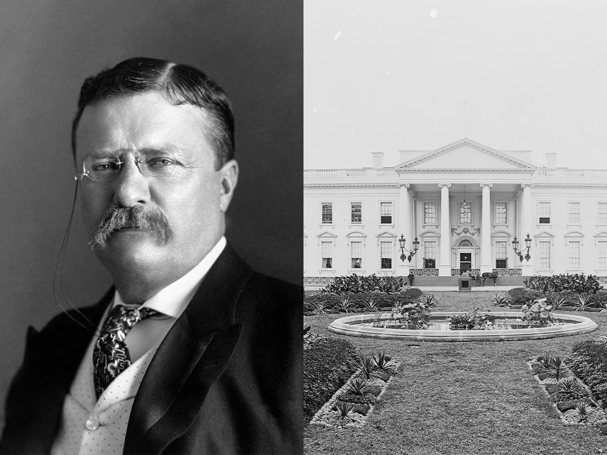 Theodore Roosevelt