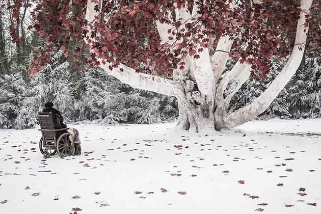 The Grand Weirwood was the Source of Magic