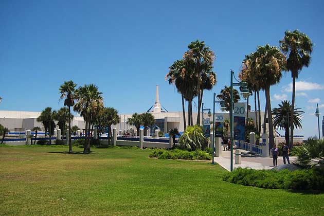 Corpus Christi, TX
