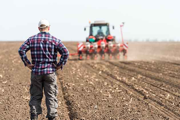 Farmer