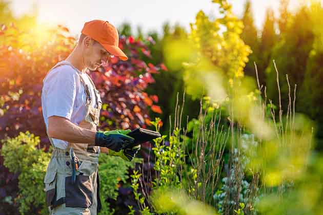 Landscaper
