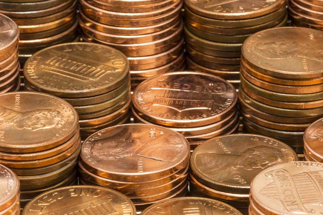 Copper Penny on a Bee Sting