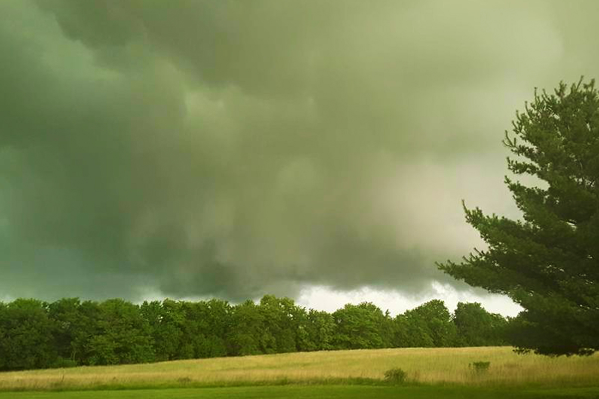 The Sky is Green