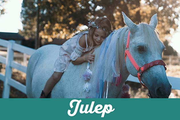 Julep
