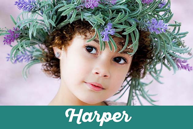 Harper