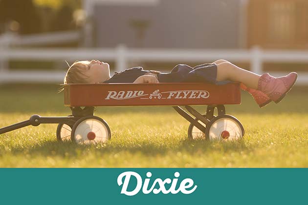 Dixie