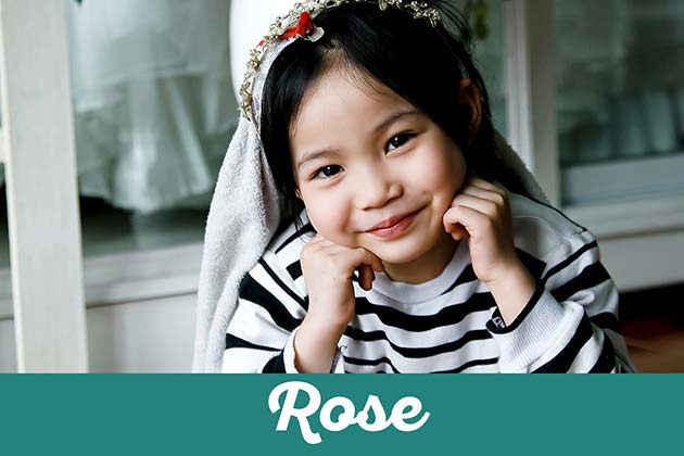 Rose