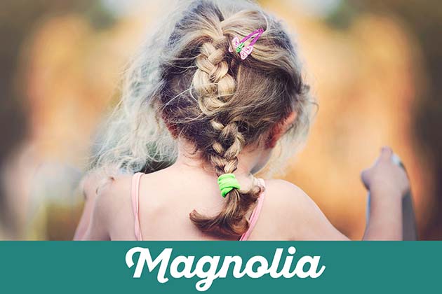 Magnolia