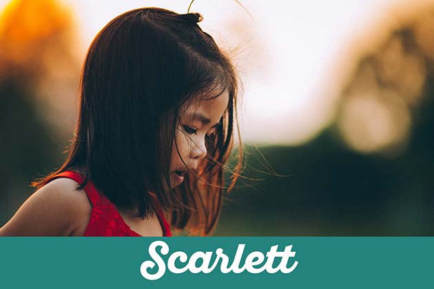 Scarlett