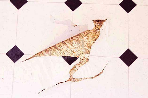 Linoleum Floors