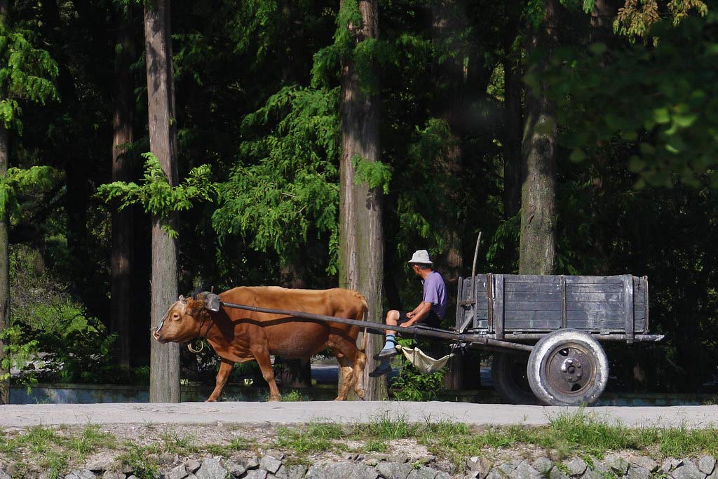 Less Than 3% of Roads in North Korea are Paved