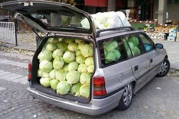 Lettuce Out!