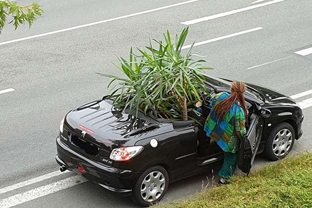 An Environmentally-Friendly Vehicle