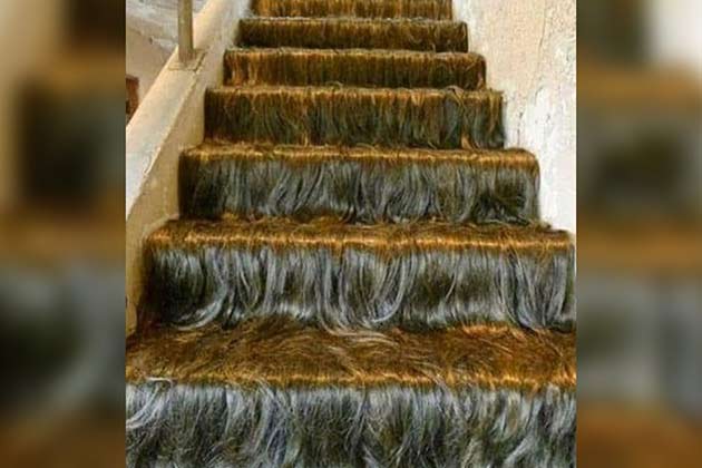 A Hairy Situation