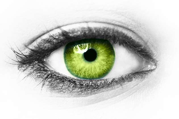“Green-Eyed Monster”