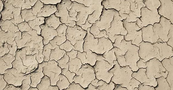 Eczema can cause dry, cracked skin.