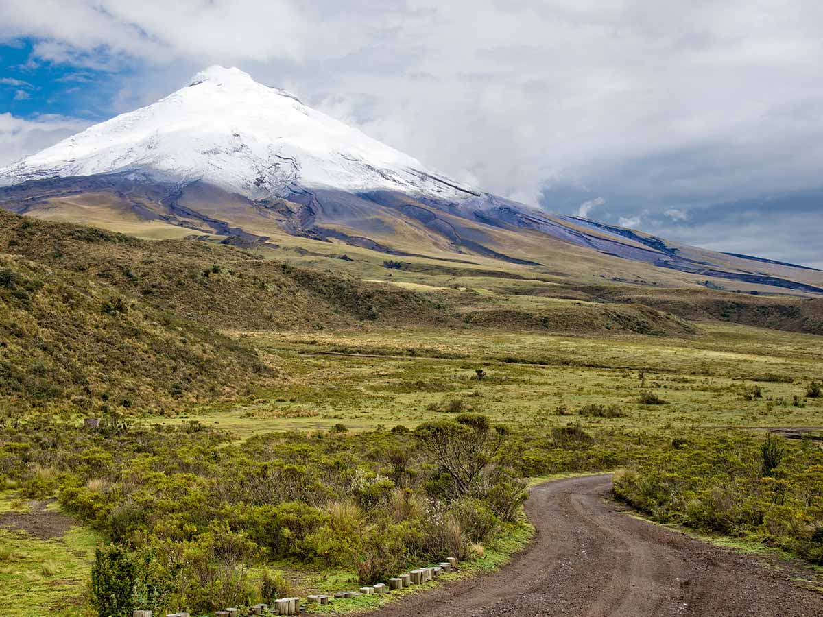 Cotopaxi Volcano Road (Ecuador)