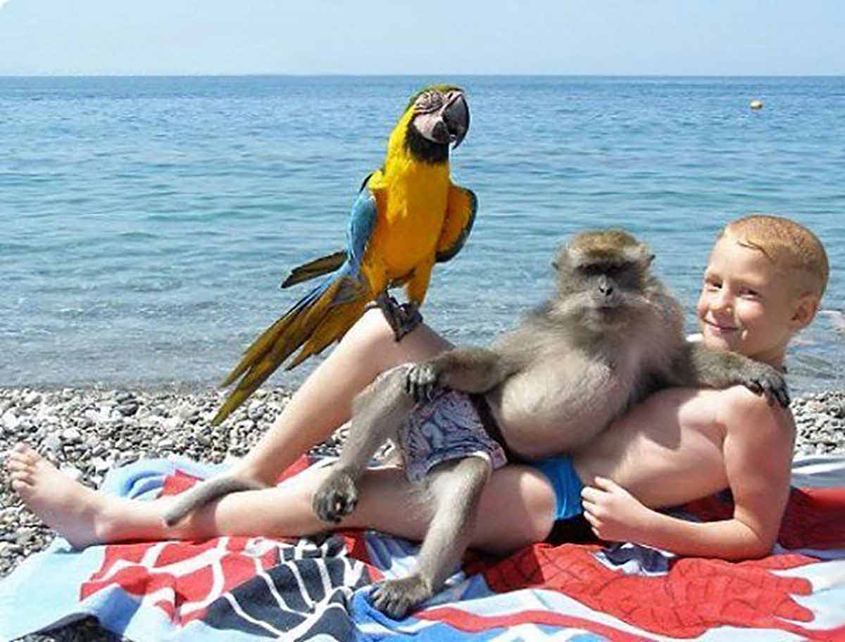 Beach Buds