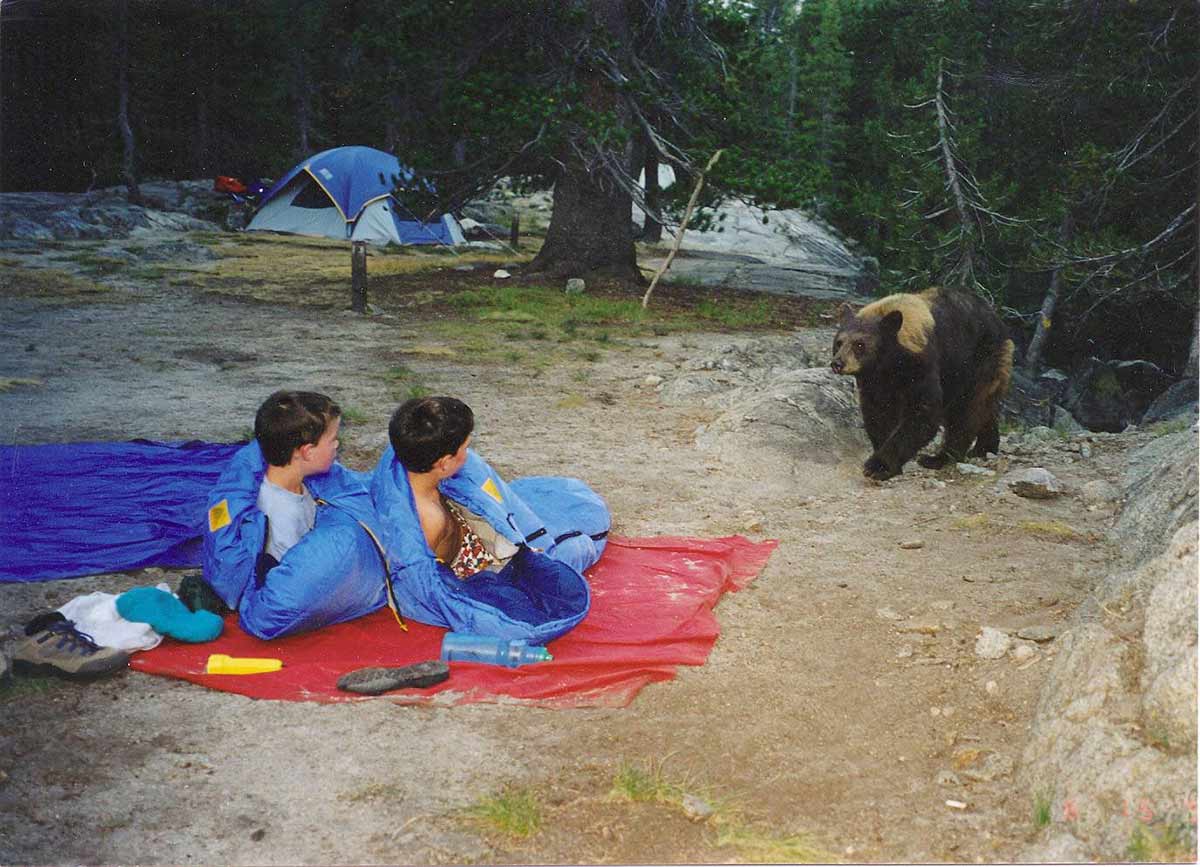A Bearable Vacation